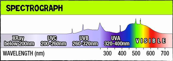 spectrograph showing xray, uvc, uvb, uva, and visible light on a chart