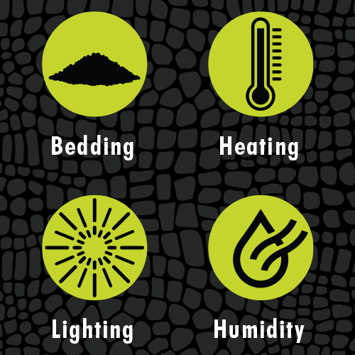 Zilla Environment Guides Info