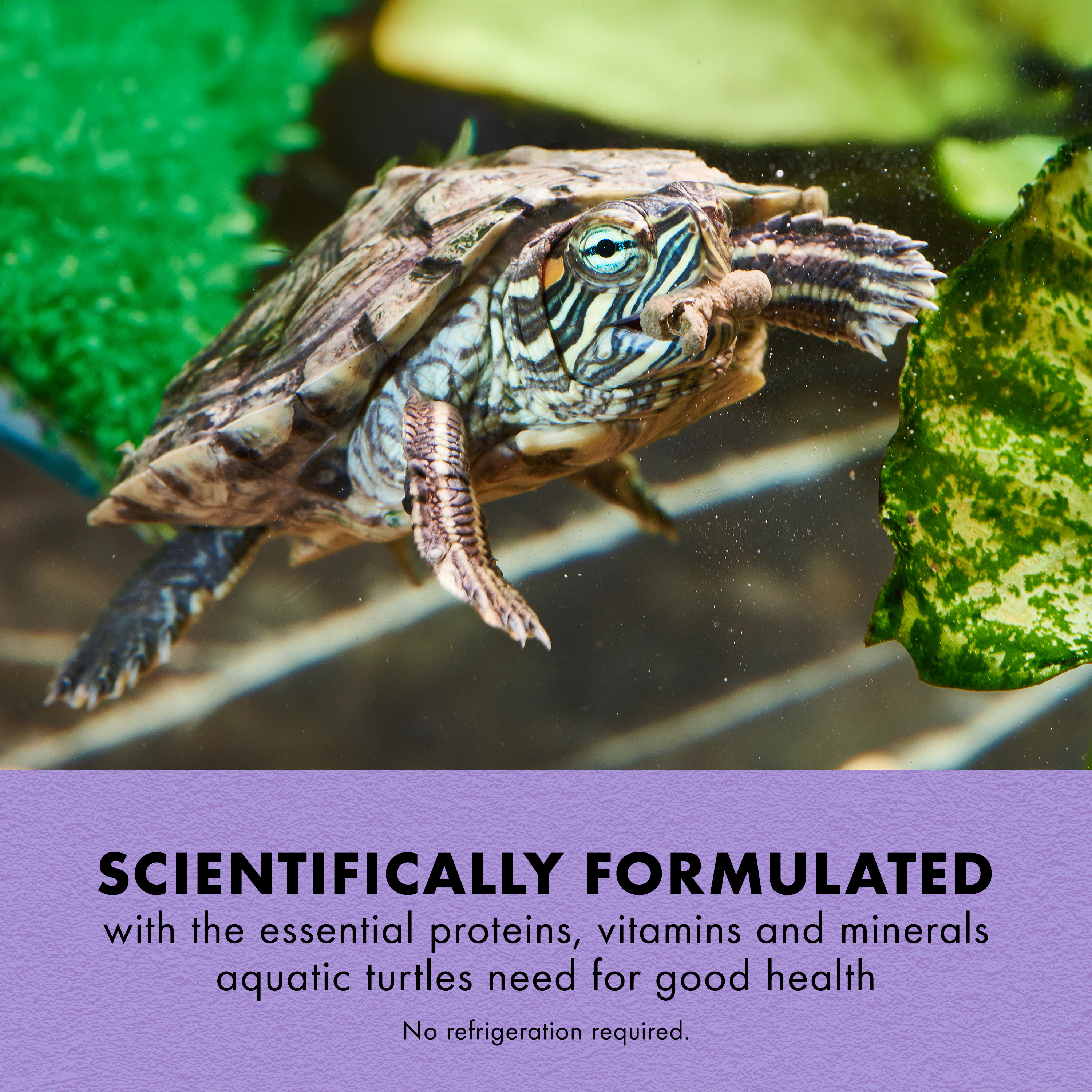 750393793-100111674_infographic01