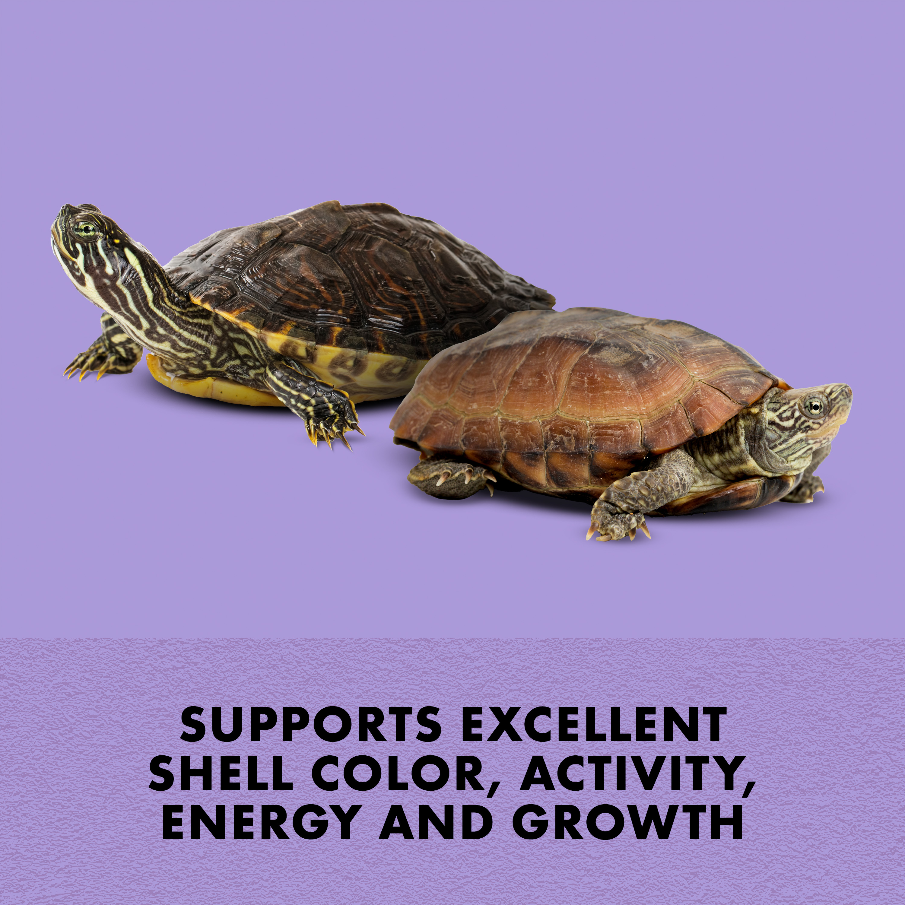 750393811-100111674_infographic02