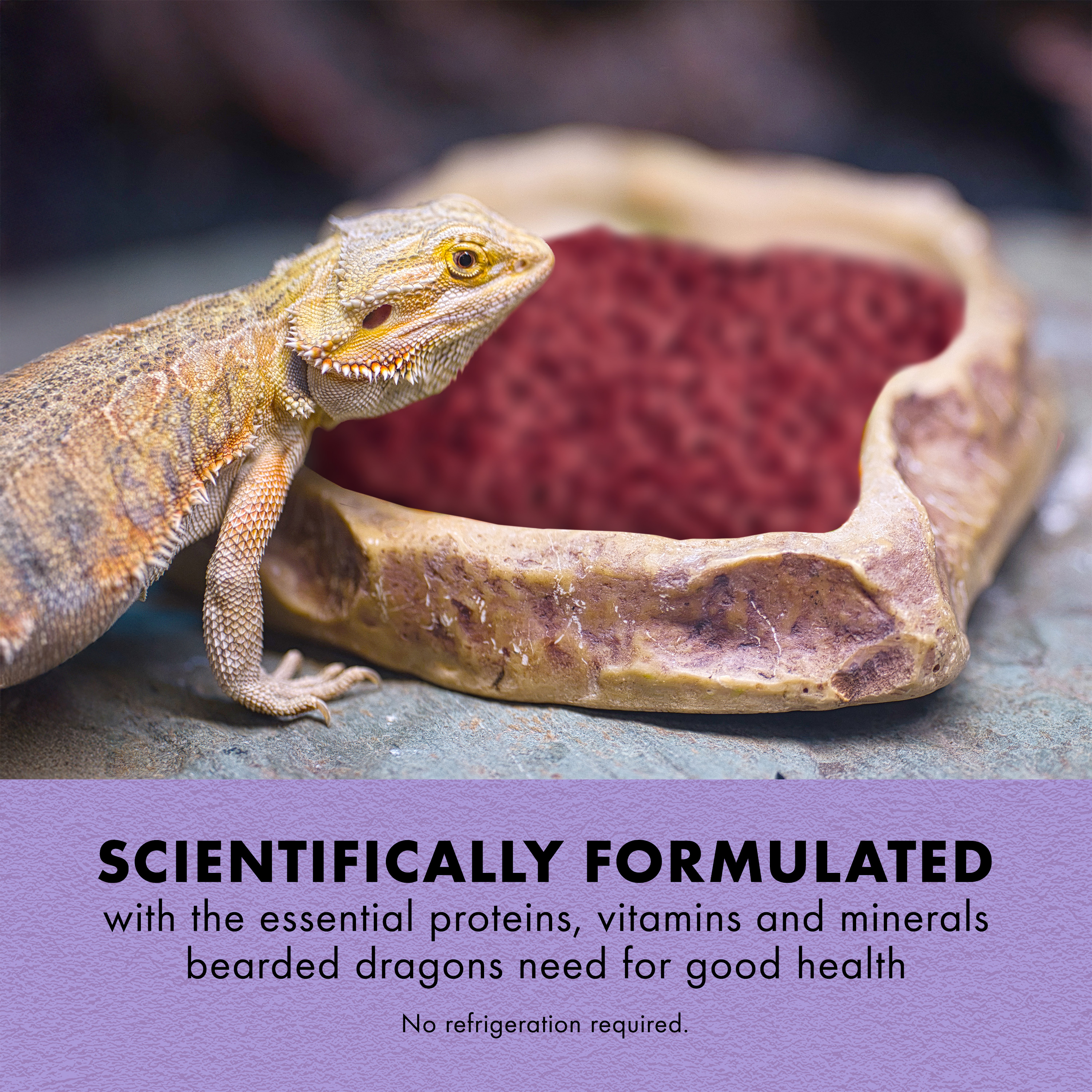 750398510-100111675_infographic01