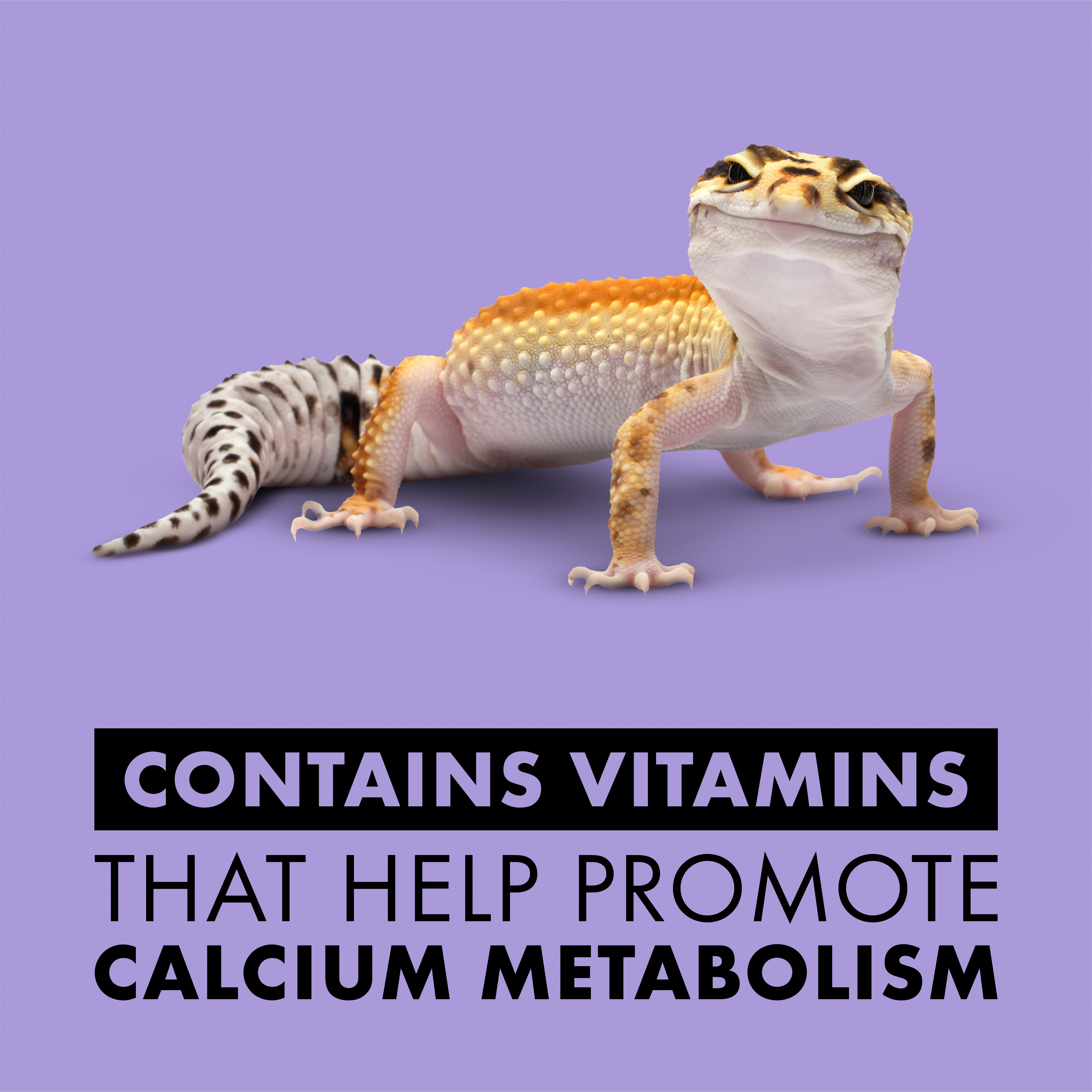 724156619-096316700093-03