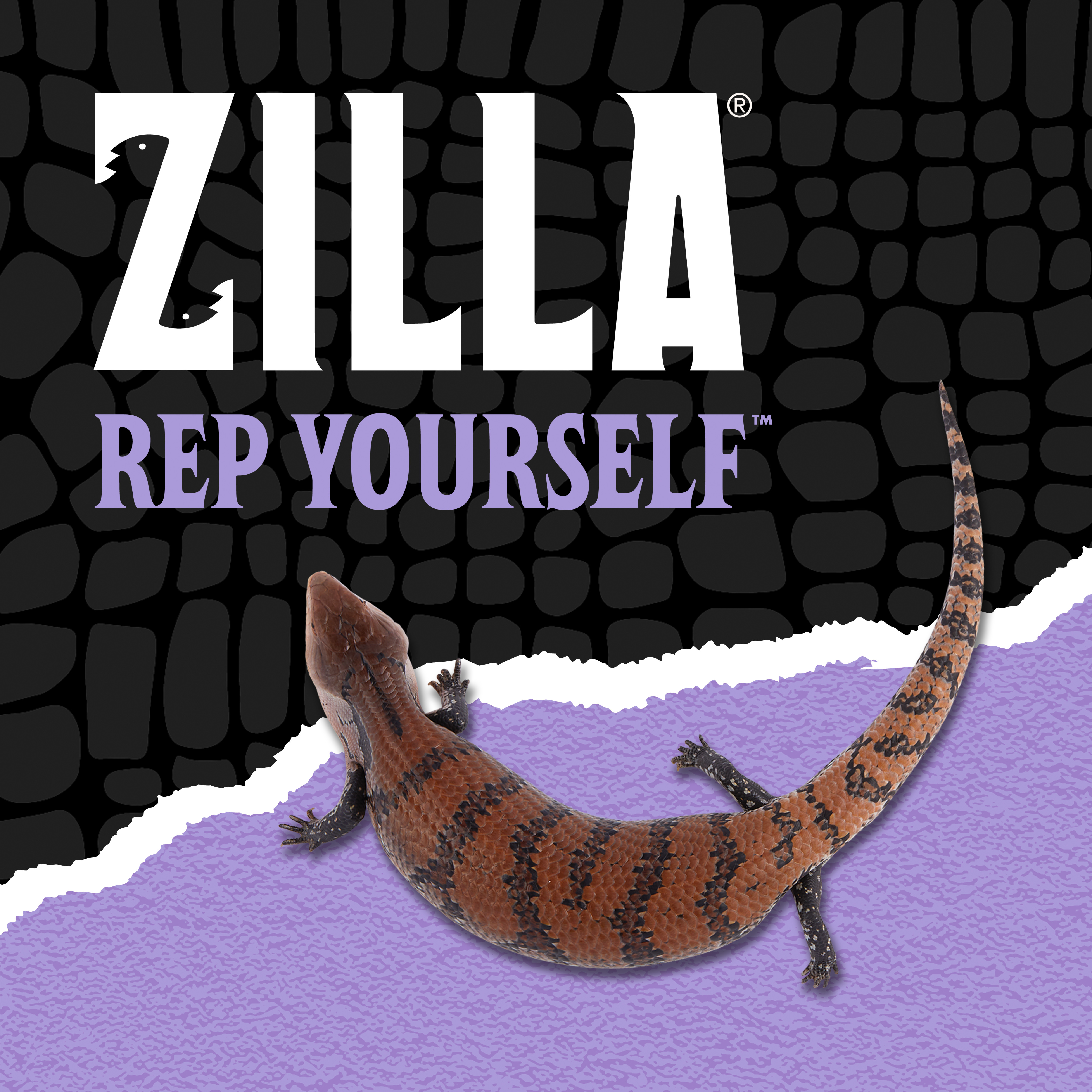 724156747-096316700093-10